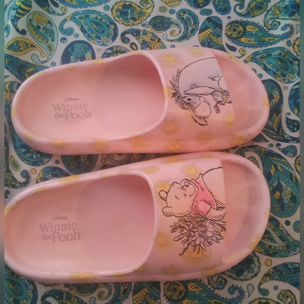 Disney Winnie the pooh & friends slide